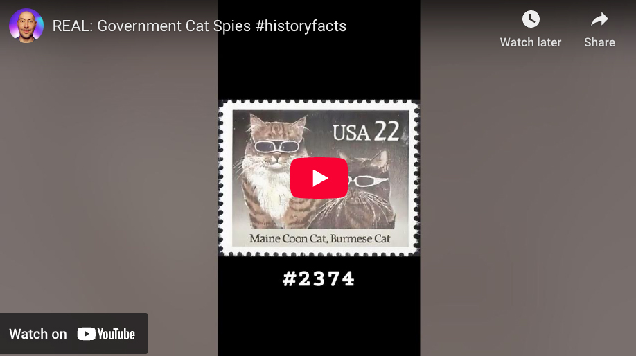 REAL: Government Cat Spies (Scott #2347)