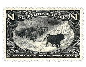 cattle in the storm stamp
