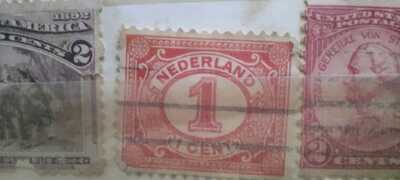 IMG 20240723 145842