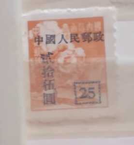 IMG 20240723 150259