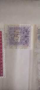IMG 20240723 150531