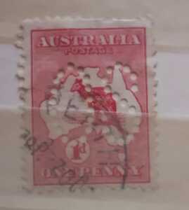 IMG 20240723 150930